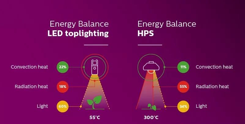 LED grow light VS HPS