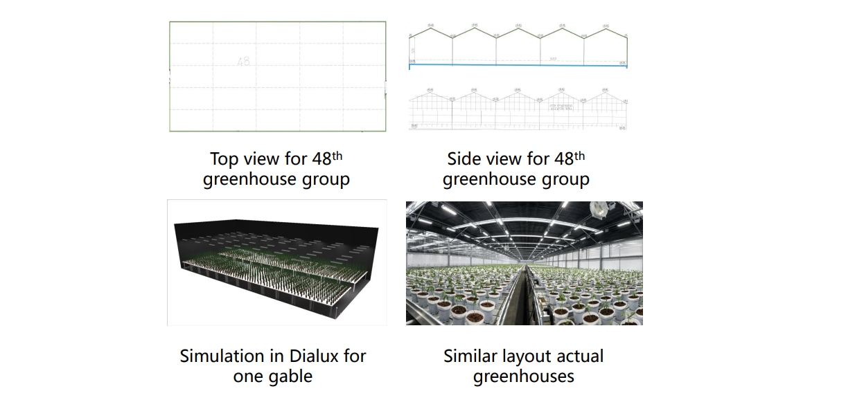 project for cannabis